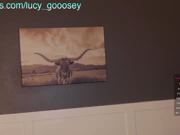 Nude cam girl lucy_gooosey image #4643946
