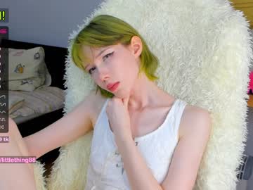 Nude cam girl littlething88 image #2123122