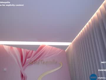Nude cam girl wildtequilla image #4184379