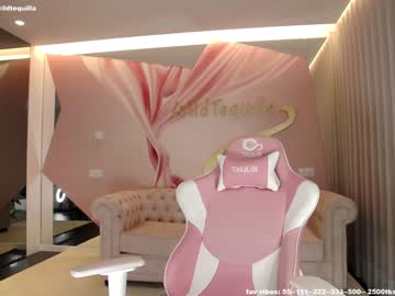 Nude cam girl wildtequilla image #2780441