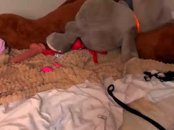 Nude cam girl _elisfox image #1385100