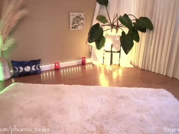 Nude cam girl phoenix_taylor image #2531223