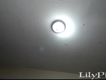 Nude cam girl lilypixel image #4842770
