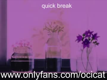 Nude cam girl ocicat image #2273092