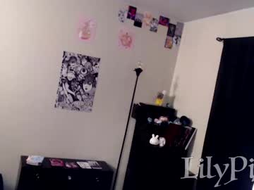 Nude cam girl lilypixel image #2889221
