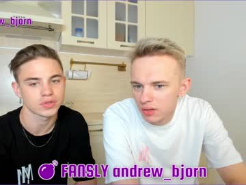 Nude cam man andy_bjorn image #2580645