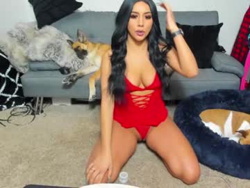 Nude cam girl jazmynn_m image #3127166