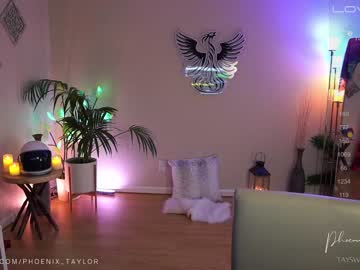 Nude cam girl phoenix_taylor image #4843150