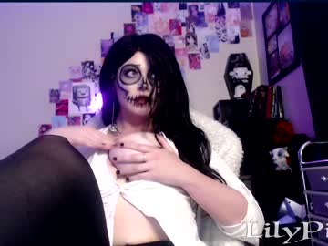 Nude cam girl lilypixel image #5374406