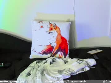 Nude cam girl foxy_gamer image #2244936
