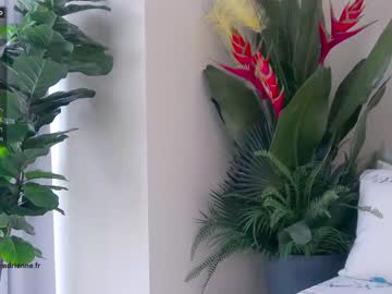 Nude cam girl belle_adrienne image #1727819