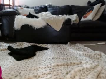 Nude cam girl shastathecat image #3557932