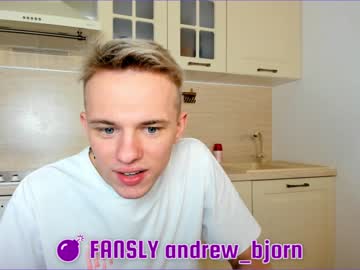 Nude cam man andy_bjorn image #2581255