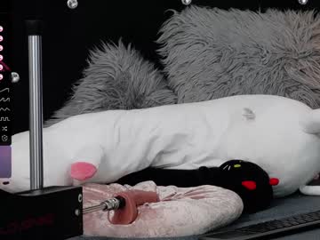 Nude cam girl xenomy image #5076295
