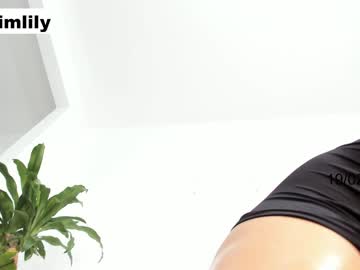 Nude cam girl imlily96 image #1157771