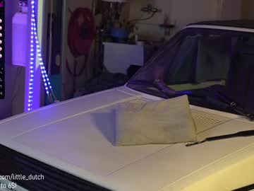 Nude cam girl little_dutch image #1479073