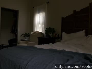Nude cam girl sophie_fennec image #4818611