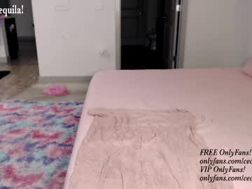 Nude cam girl princess_cece image #4957815