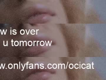 Nude cam girl ocicat image #3599601
