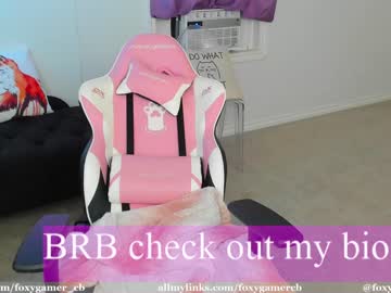 Nude cam girl foxy_gamer image #2244366