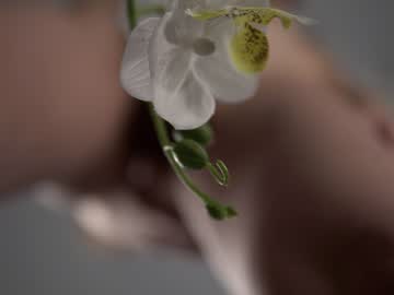 Nude cam girl neferpita image #6493278