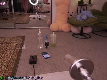 Nude cam girl evelynpiers image #3871409