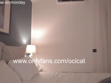 Nude cam girl ocicat image #3011691