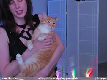 Nude cam girl foxy_gamer image #2824554