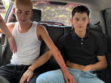 Nude cam man car_secrets image #4103460