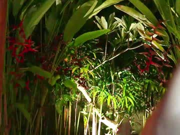 Nude cam girl katyerave image #6174781