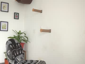 Nude cam girl maria_alfonsina image #2885523