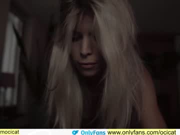 Nude cam girl ocicat image #2121874