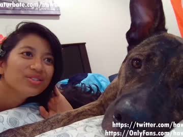 Nude cam girl hawaiigirl_ image #2781331