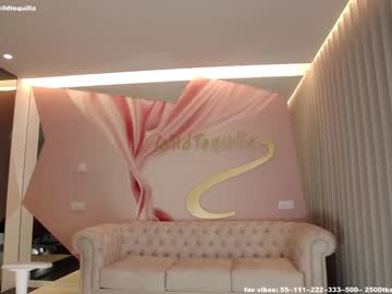 Nude cam girl wildtequilla image #2830260