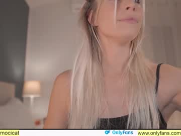 Nude cam girl ocicat image #3305797