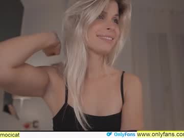 Nude cam girl ocicat image #3306580