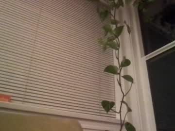 Nude cam girl bambis_honeypot image #917185
