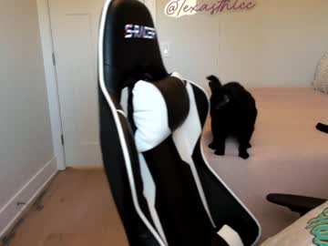 Nude cam girl texasthicc image #878012